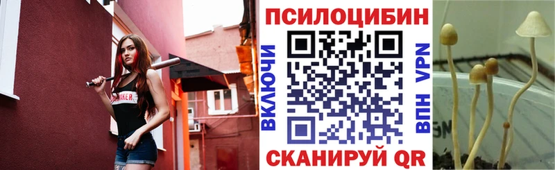 Галлюциногенные грибы прущие грибы  блэк спрут ONION  Кола 